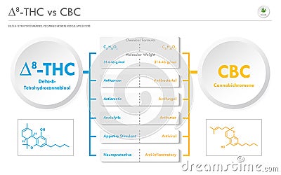 âˆ†8-THC vs CBC, Delta 8 Tetrahydrocannabinol vs Cannabichromene horizontal business infographic Vector Illustration